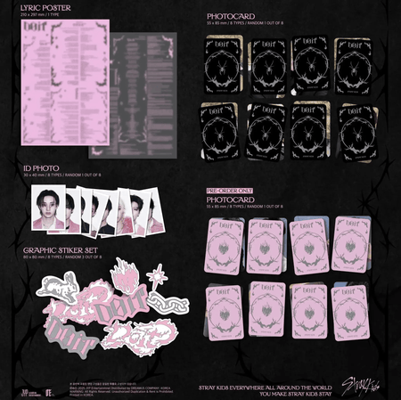 Stray Kids SKZ IT TAPE DO IT Accordion Ver. album inclusions
