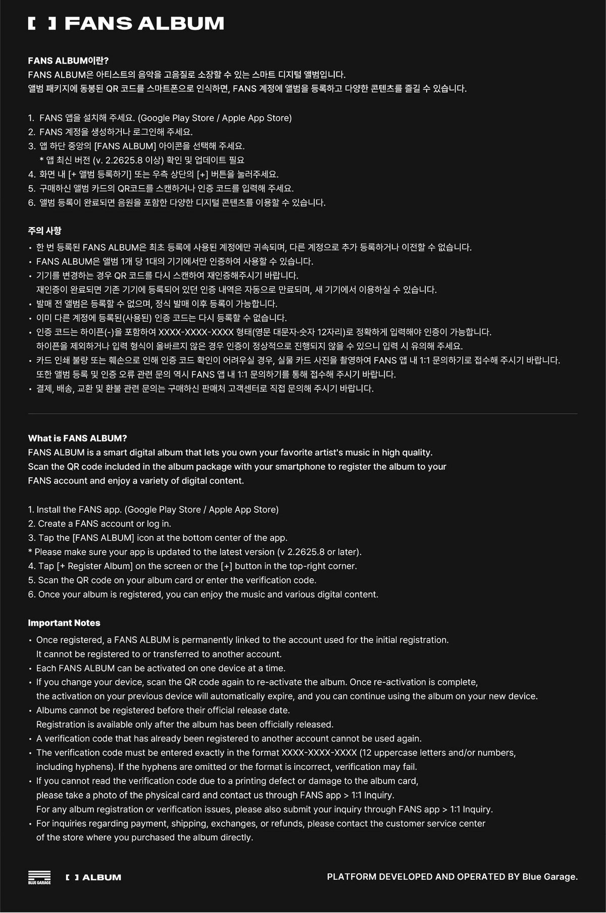 Stray Kids THIS & THAT FANS ALBUM Ver.